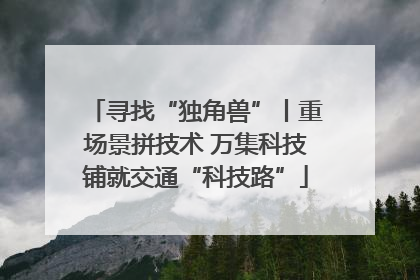 寻找“独角兽”丨重场景拼技术 万集科技铺就交通“科技路”