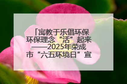 寓教于乐倡环保 环保理念“活”起来——2025年荣成市“六五环境日”宣传活动圆满举行