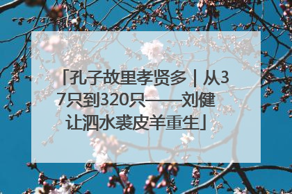 孔子故里孝贤多｜从37只到320只——刘健让泗水裘皮羊重生