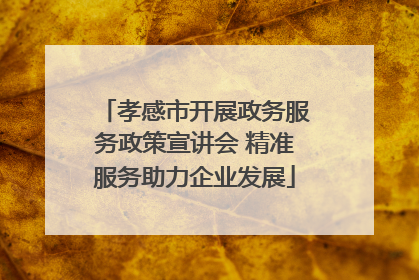 孝感市开展政务服务政策宣讲会 精准服务助力企业发展