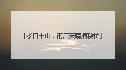 孝昌丰山：雨后天晴插秧忙