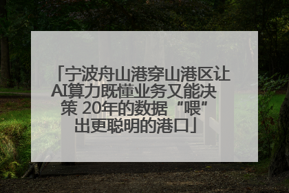 宁波舟山港穿山港区让AI算力既懂业务又能决策 20年的数据“喂”出更聪明的港口