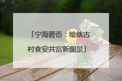 宁海箬岙：绘就古村食安共富新图景