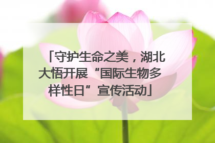 守护生命之美，湖北大悟开展“国际生物多样性日”宣传活动