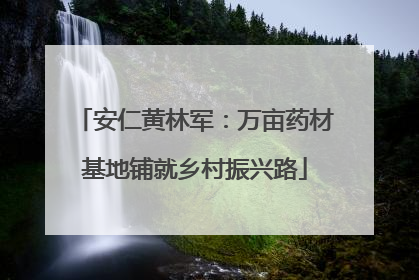 安仁黄林军：万亩药材基地铺就乡村振兴路