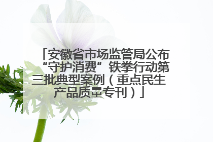 安徽省市场监管局公布“守护消费”铁拳行动第三批典型案例（重点民生产品质量专刊）