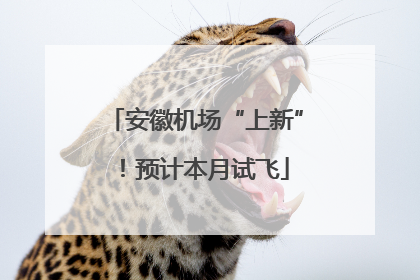 安徽机场“上新”！预计本月试飞