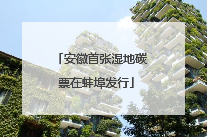 安徽首张湿地碳票在蚌埠发行