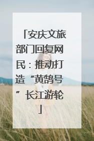 安庆文旅部门回复网民：推动打造“黄鹄号”长江游轮