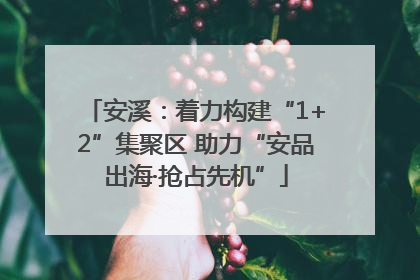安溪：着力构建“1+2”集聚区 助力“安品出海·抢占先机”