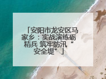 安阳市龙安区马家乡：实战演练砺精兵 筑牢防汛“安全堤”