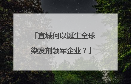 宜城何以诞生全球染发剂领军企业？