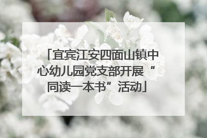 宜宾江安四面山镇中心幼儿园党支部开展“同读一本书”活动