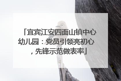 宜宾江安四面山镇中心幼儿园：党员引领亮初心，先锋示范做表率