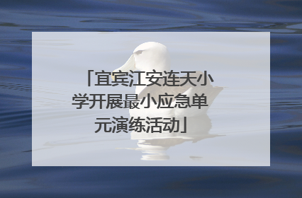 宜宾江安连天小学开展最小应急单元演练活动