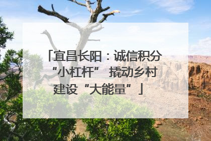 宜昌长阳：诚信积分“小杠杆” 撬动乡村建设“大能量”