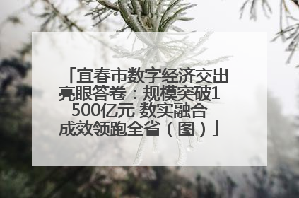 宜春市数字经济交出亮眼答卷：规模突破1500亿元 数实融合成效领跑全省（图）