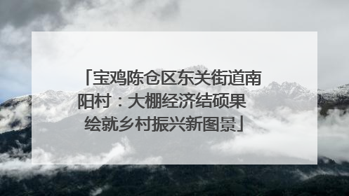 宝鸡陈仓区东关街道南阳村：大棚经济结硕果 绘就乡村振兴新图景