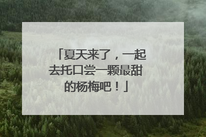 夏天来了，一起去托口尝一颗最甜的杨梅吧！