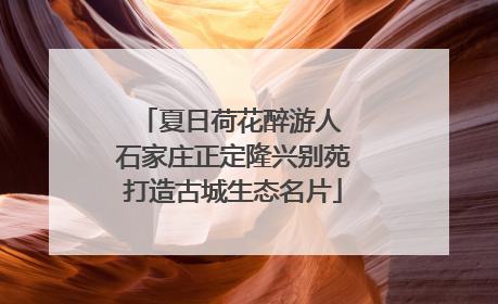 夏日荷花醉游人 石家庄正定隆兴别苑打造古城生态名片