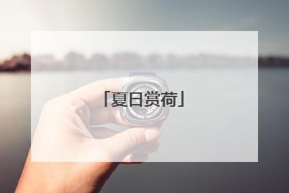夏日赏荷