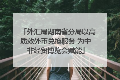 外汇局湖南省分局以高质效外币兑换服务 为中非经贸博览会赋能