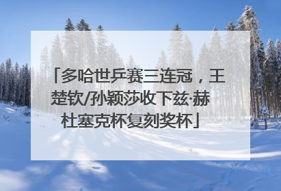 多哈世乒赛三连冠，王楚钦/孙颖莎收下兹·赫杜塞克杯复刻奖杯