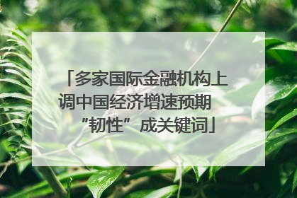 多家国际金融机构上调中国经济增速预期 “韧性”成关键词