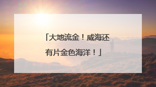 大地流金！威海还有片金色海洋！