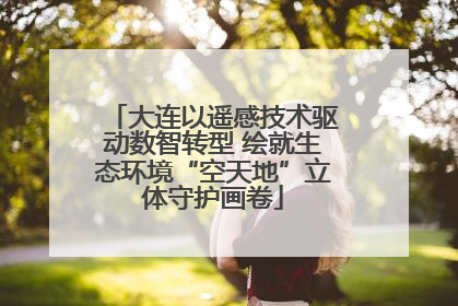 大连以遥感技术驱动数智转型 绘就生态环境“空天地”立体守护画卷