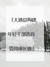 大通县构建年轻干部选育管用成长链