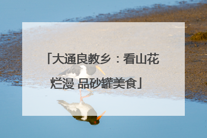 大通良教乡：看山花烂漫 品砂罐美食