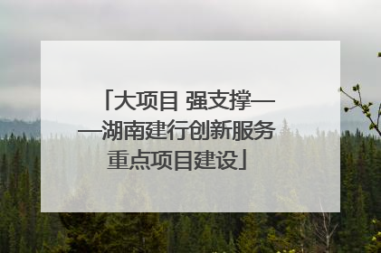大项目 强支撑——湖南建行创新服务重点项目建设