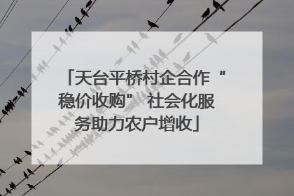 天台平桥村企合作“稳价收购” 社会化服务助力农户增收