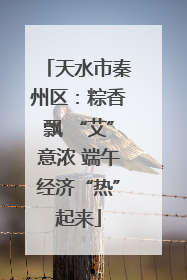 天水市秦州区：粽香飘 “艾”意浓 端午经济“热”起来