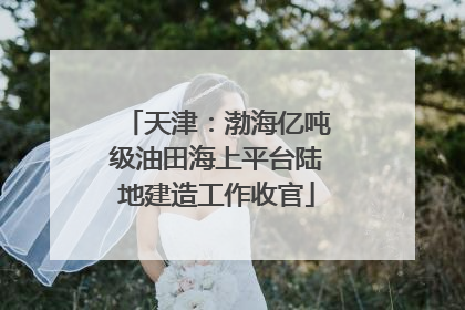 天津：渤海亿吨级油田海上平台陆地建造工作收官