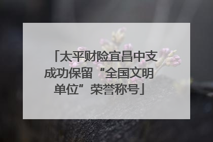 太平财险宜昌中支成功保留“全国文明单位”荣誉称号