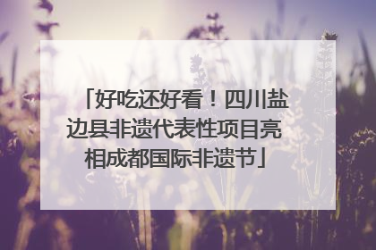好吃还好看！四川盐边县非遗代表性项目亮相成都国际非遗节