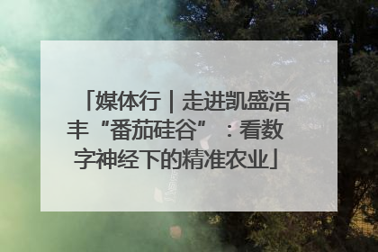 媒体行｜走进凯盛浩丰“番茄硅谷”：看数字神经下的精准农业