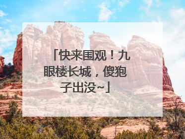 快来围观！九眼楼长城，傻狍子出没~