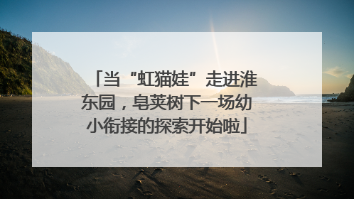 当“虹猫娃”走进淮东园，皂荚树下一场幼小衔接的探索开始啦