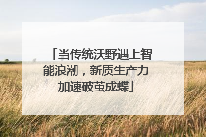 当传统沃野遇上智能浪潮，新质生产力加速破茧成蝶