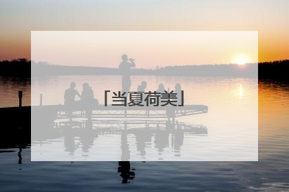 当夏荷美