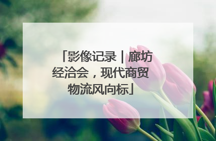 影像记录｜廊坊经洽会，现代商贸物流风向标