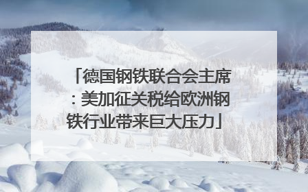 德国钢铁联合会主席：美加征关税给欧洲钢铁行业带来巨大压力