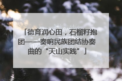 德育润心田，石榴籽抱团——奏响民族团结协奏曲的“天山实践”