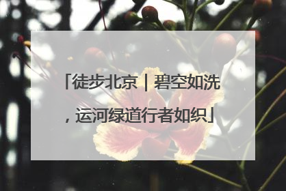徒步北京｜碧空如洗，运河绿道行者如织