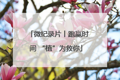 微纪录片丨跑赢时间 “植”为救你
