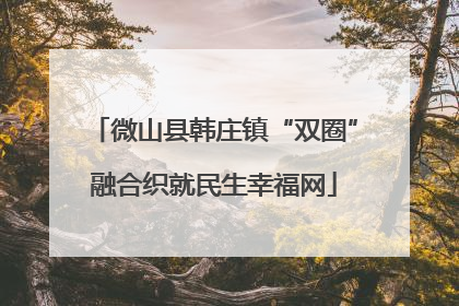 微山县韩庄镇“双圈”融合织就民生幸福网