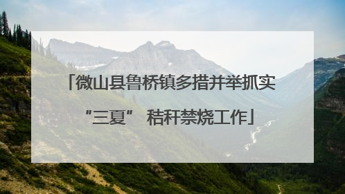 微山县鲁桥镇多措并举抓实 “三夏” 秸秆禁烧工作